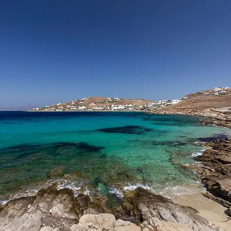 Willa Macaro With Direct Access *