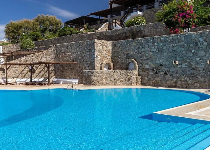 Willa Macaro With Direct Access